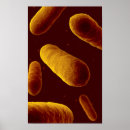 Suche nach pathologie poster Gesundheitswesen