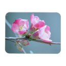 Recherche de vinyle magnets Fleur