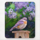 Recherche de bleu bleuet tapis souris Oiseau