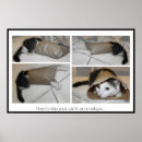 Suche nach umschläge poster Katze