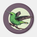 Recherche de colibri magnets Nectar