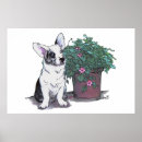 Recherche de merle posters Chiot