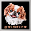 Suche nach cocker spaniel hund poster Hundefreund