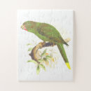 Recherche de de perroquet puzzles Oiseau