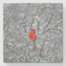 Suche nach bird untersetzer Rot