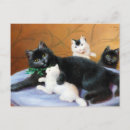 Suche nach vintage familie postkarten Katze