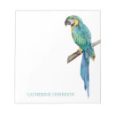 Recherche de perroquet blocsnotes Oiseaux