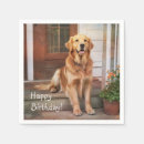 Recherche de canin serviettes Chien