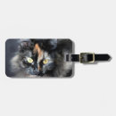 Suche nach felis Katze