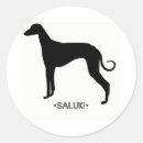Recherche de saluki autocollants Chien