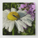 Recherche de fleur lilas horloges Floral