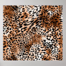 Suche nach afrikanische tiere poster Gepard