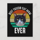 Recherche de chat noir vintage cartes postales Amoureux des chats