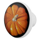Recherche de citrouille boutons et poignées de porte Automne