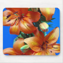 Recherche de mensonge tapis souris Floral