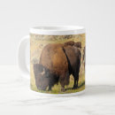 Suche nach bison tassen Begierig