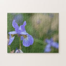 Suche nach lila iris blume Natur