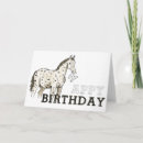 Recherche de appaloosa cartes postales Appy