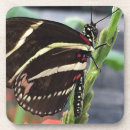 Recherche de sans ailes dessous de verres Papillon