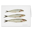 Recherche de sardines cartes postales Animaux