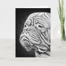 Suche nach mastiff karten Dogue de bordeaux