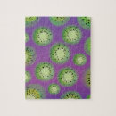 Suche nach kiwi puzzle Früchte
