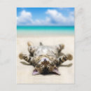 Recherche de bronzage cartes postales Soleil