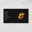 Recherche de recherche cartes visite Nature