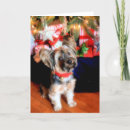 Suche nach kleine hunde karten Weihnachtsbaum