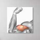 Suche nach gelenk leinwandbilder Anatomie