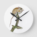 Recherche de petite souris horloges Nature