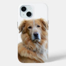 Suche nach golden retriever iphone hüllen Foto