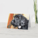 Suche nach labradoodles karten Gekritzel