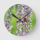 Recherche de coccinelles horloges Nature