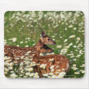 Suche nach hirsch mousepads Blume