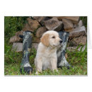 Suche nach die jagdhunde postkarten Kaninchen