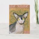 Recherche de chat de sphynx vœux cartes Félin