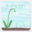 Suche nach snowdrop Blau