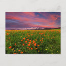 Suche nach blühende blumen postkarten Landschaft
