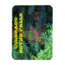 Recherche de sept magnets Colorado