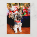 Suche nach kleine hunde karten Weihnachtsbaum