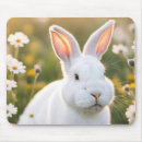 Recherche de lapin blanc tapis souris Jardin