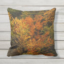 Suche nach laub kissen Orange
