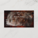 Recherche de loup conservation photographie Faune