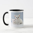 Recherche de pureté tasses Tir de studio