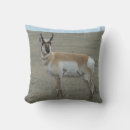 Recherche de brocard coussins Pour tous