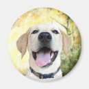 Recherche de visage souriant heureux magnets Joyeux