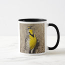 Recherche de longueur tasses Extérieur