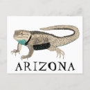 Suche nach lizard postkarten Arizona