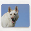 Recherche de alsacien tapis souris Headshot